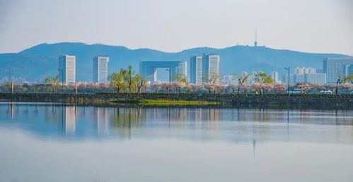 松柏投資 落子 無(wú)錫 加快口腔醫(yī)療教育發(fā)展 黃欽出席簽約儀式