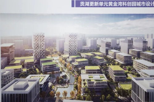 杜小剛專題調(diào)研城市更新和房屋征收工作