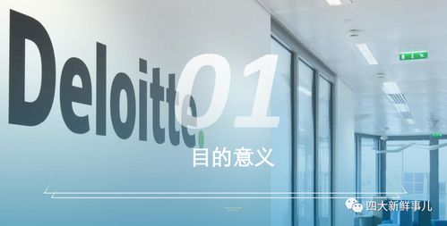 德勤 關(guān)于強(qiáng)化上市公司及擬上市企業(yè)內(nèi)部控制建設(shè) 推進(jìn)內(nèi)部控制評(píng)價(jià)和審計(jì)的通知 要點(diǎn)解讀